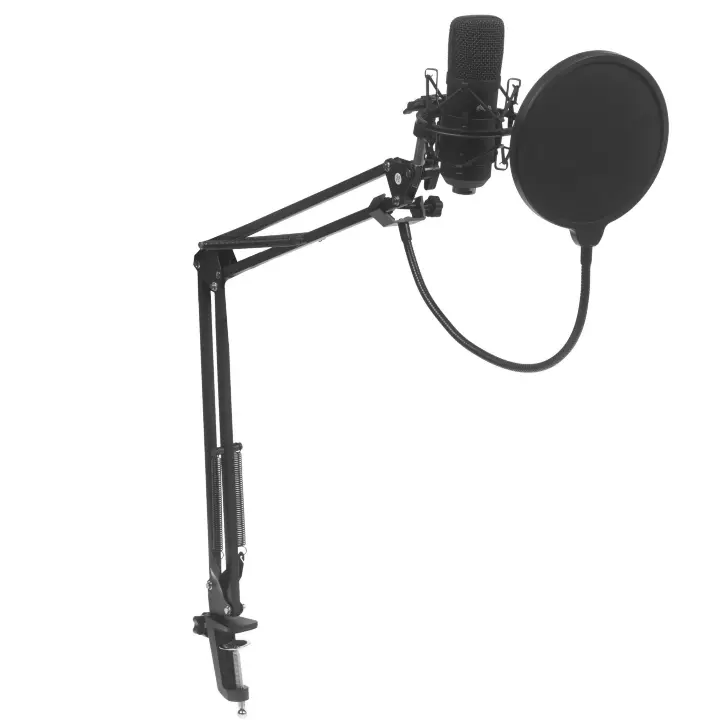 Микрофон Ritmix RDM-180 черный