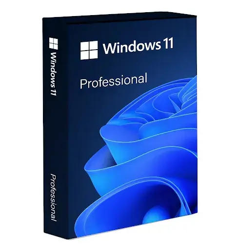 Windows 11 PRO